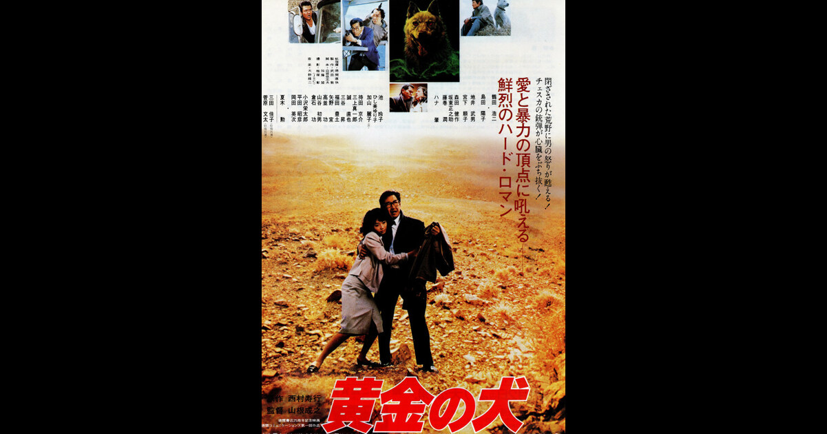 黄金の犬 の映画情報 Yahoo 映画 黄金の犬 の映画情報 Yahoo 映画