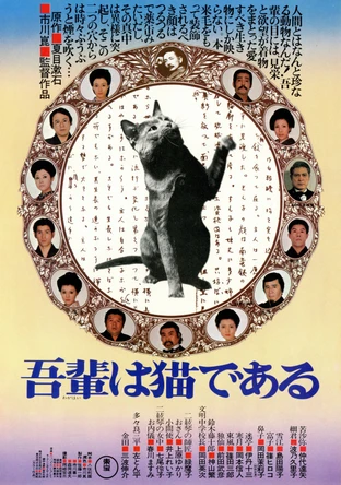 吾輩は猫である の映画情報 Yahoo 映画 吾輩は猫である の映画情報 Yahoo 映画
