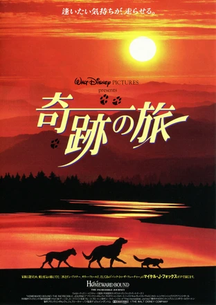 奇跡の旅 の映画情報 Yahoo 映画 奇跡の旅 の映画情報 Yahoo 映画