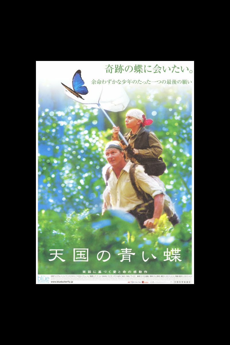 天国の青い蝶 の映画情報 Yahoo 映画