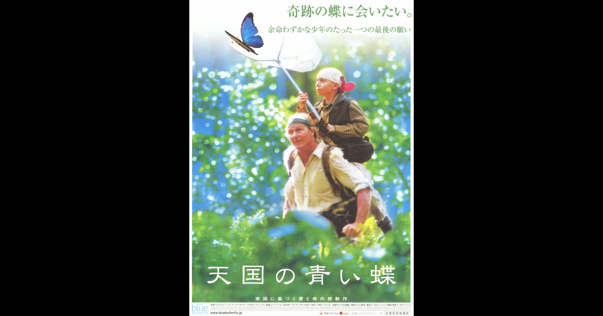 天国の青い蝶 の映画情報 Yahoo 映画