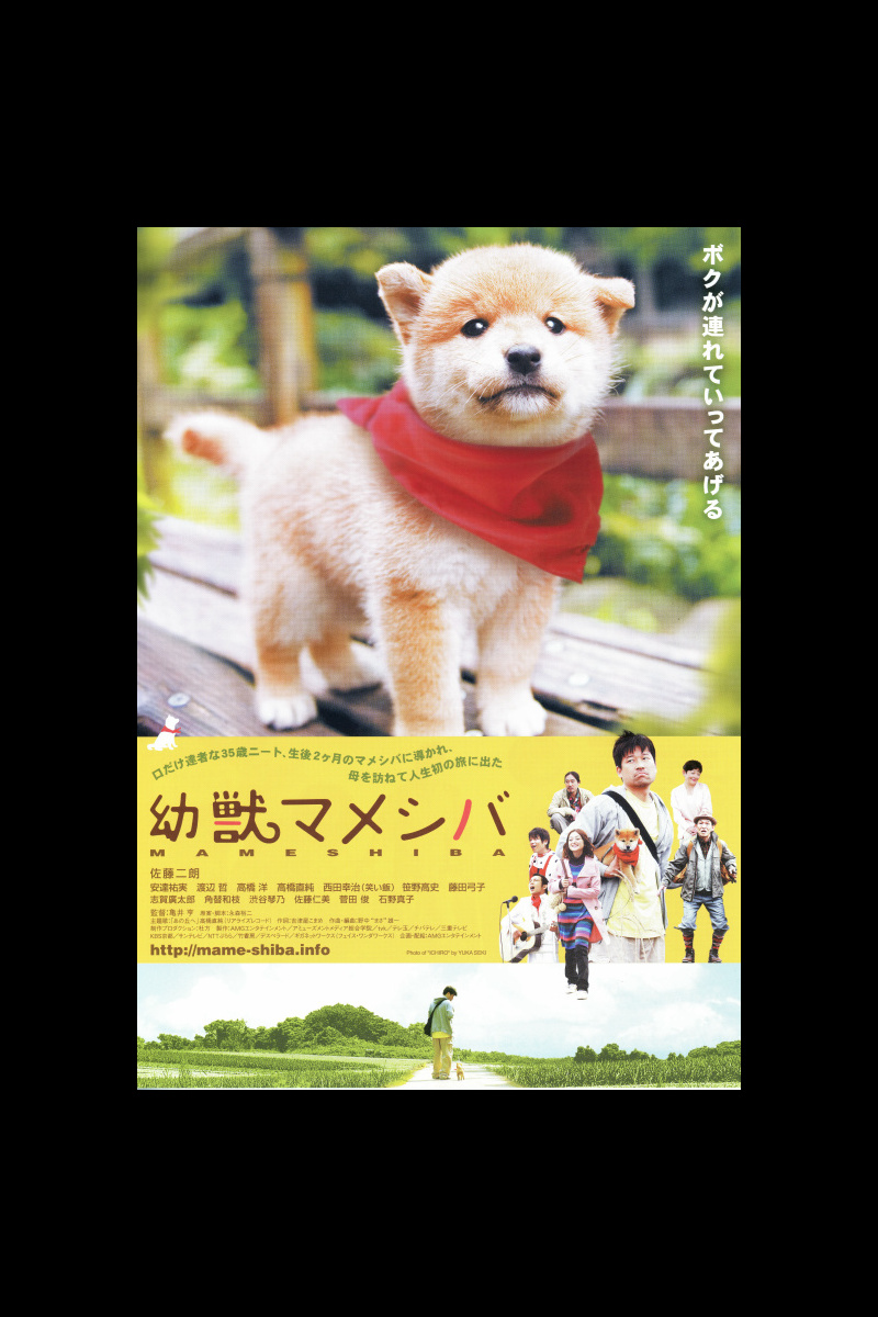 幼獣マメシバ の映画情報 Yahoo 映画 幼獣マメシバ の映画情報 Yahoo 映画