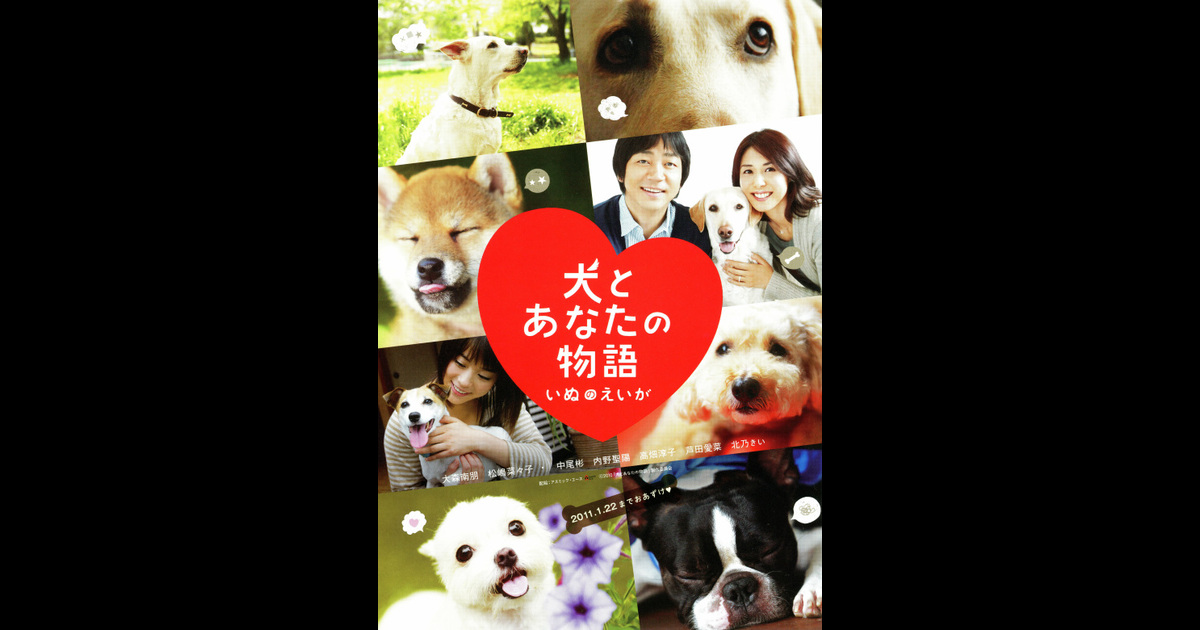 犬とあなたの物語 いぬのえいが の映画情報 Yahoo 映画 犬とあなたの物語 いぬのえいが の映画情報 Yahoo 映画